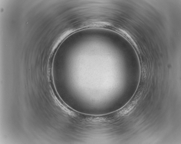 X0000060740851200511141131