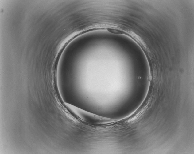 X0000060740854200511141131