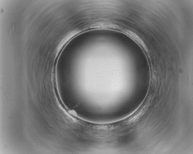 X0000060740855200511141131