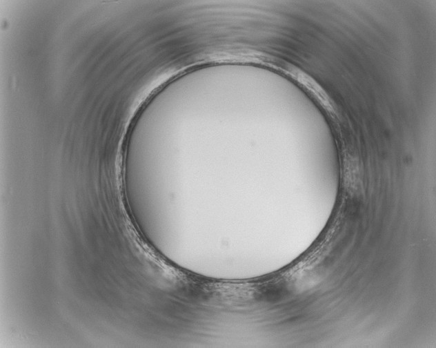 X0000060740856200511141131