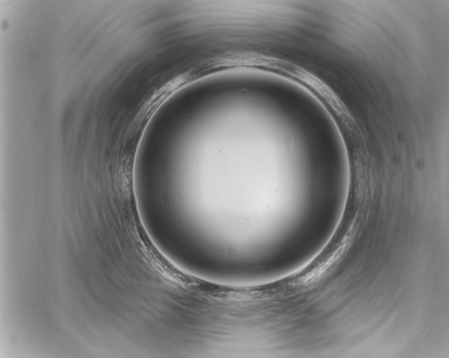 X0000060740857200511141131