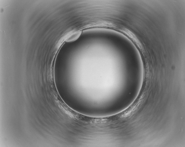 X0000060740858200511141131