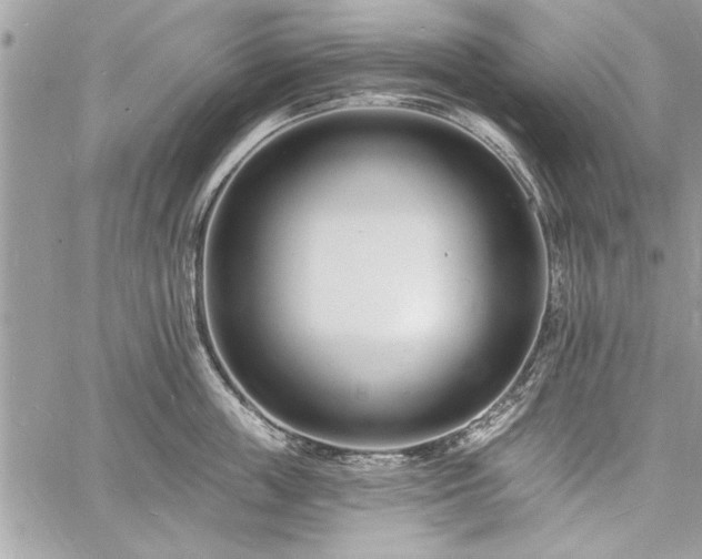 X0000060740859200511141131