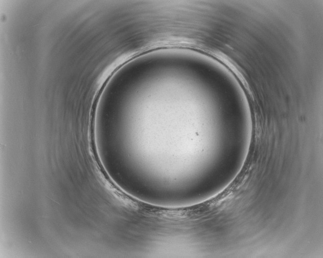 X0000060740861200511141131