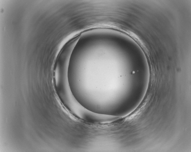 X0000060740862200511141131