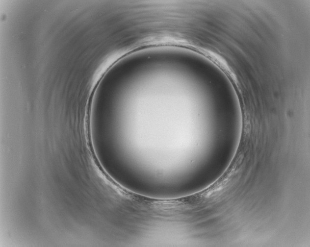 X0000060740863200511141131