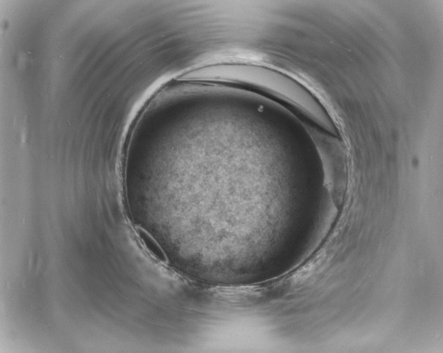 X0000060740864200511141131