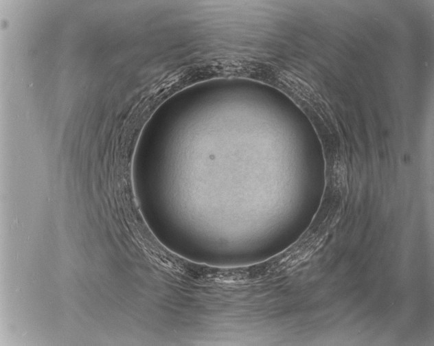 X0000060740865200511141130