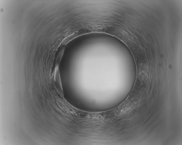 X0000060740866200511141130