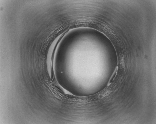 X0000060740868200511141130