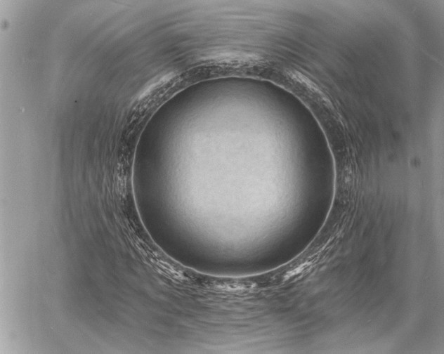 X0000060740869200511141130