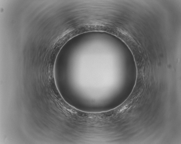 X0000060740870200511141130