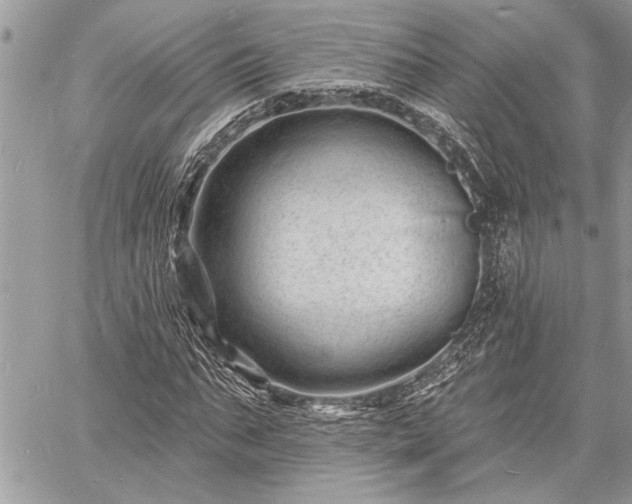 X0000060740871200511141130