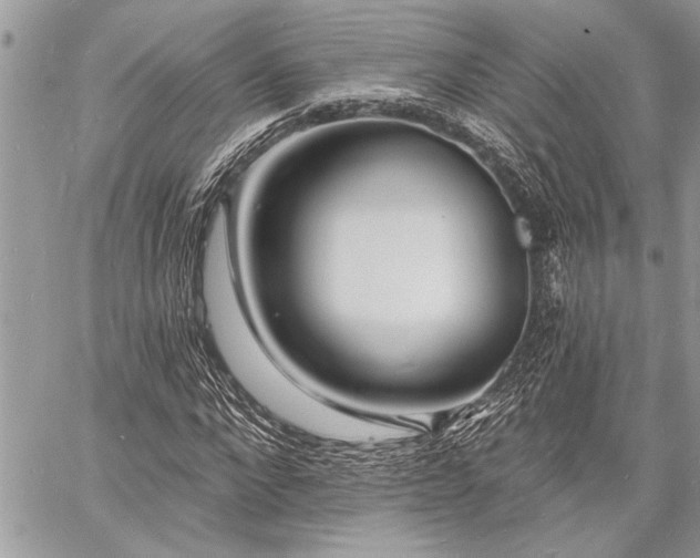 X0000060740872200511141130