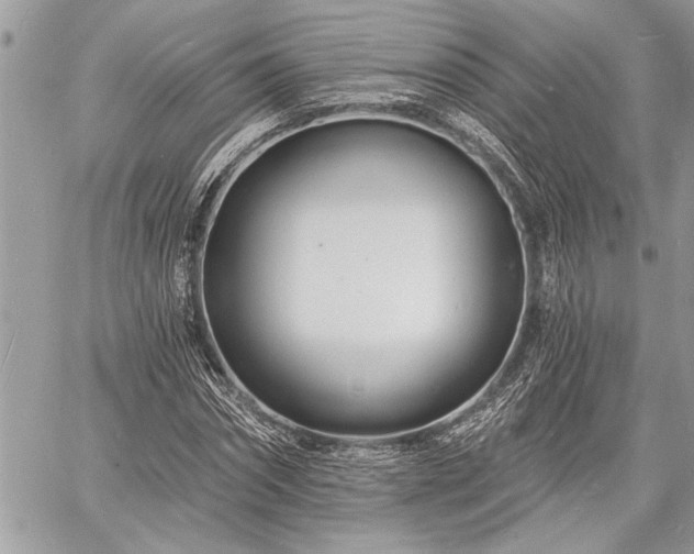 X0000060740874200511141130