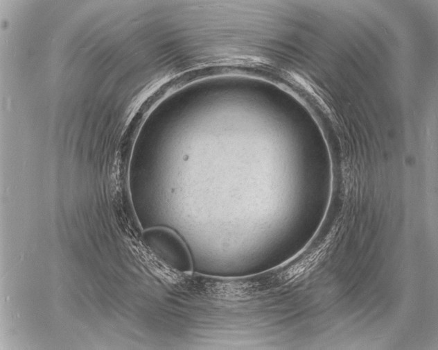 X0000060740875200511141130