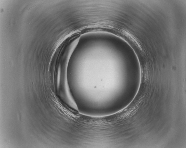 X0000060740876200511141130