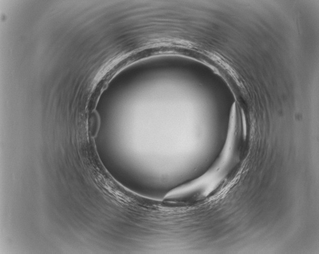 X0000060740877200511141130