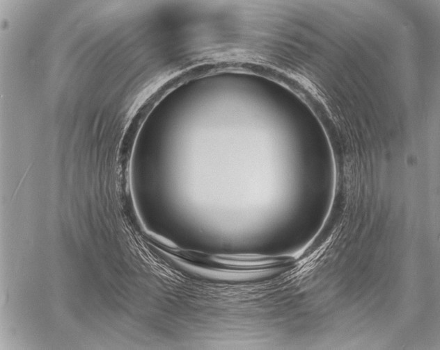 X0000060740879200511141130