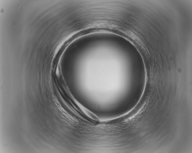 X0000060740880200511141130