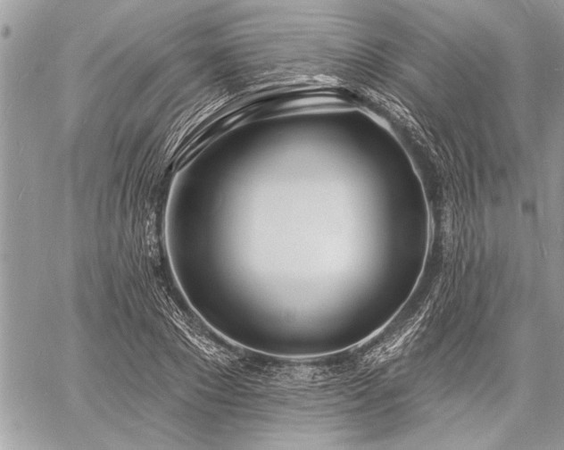 X0000060740881200511141130