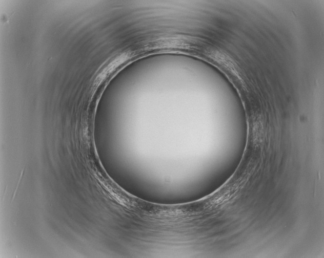 X0000060740882200511141130