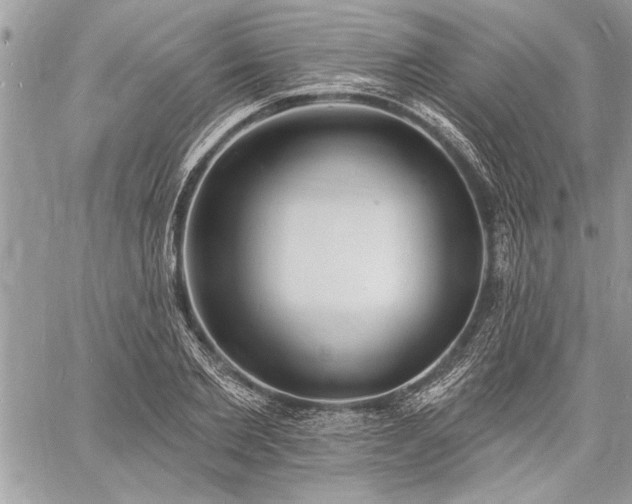 X0000060740885200511141130