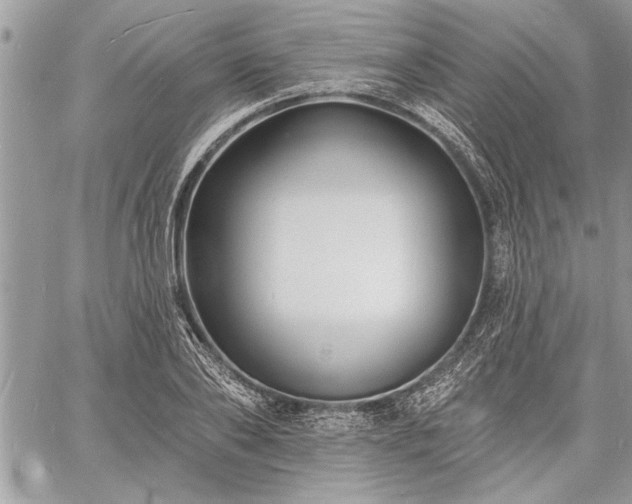 X0000060740886200511141130