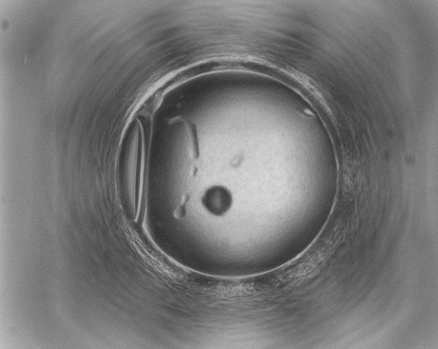 X0000060740887200511141130