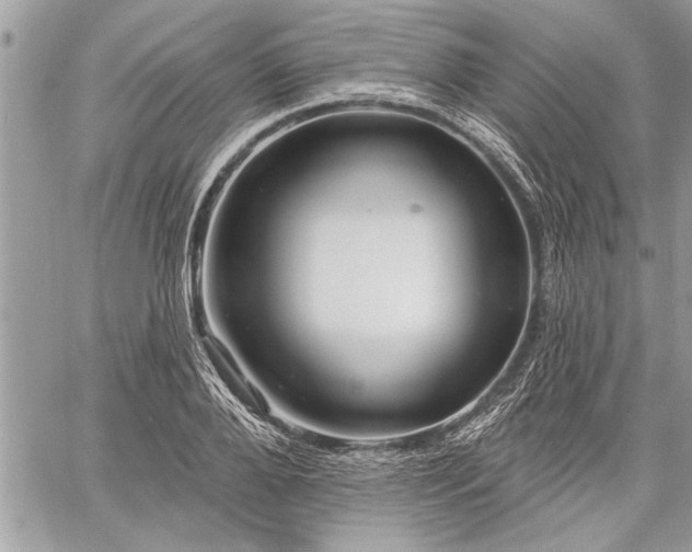 X0000060740888200511141130