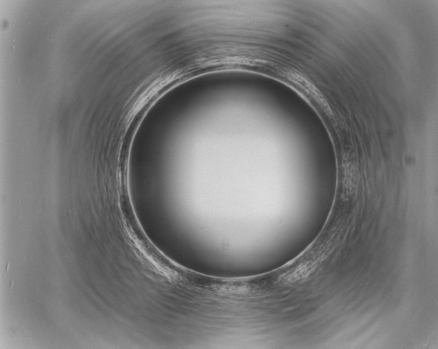 X0000060740890200511141130