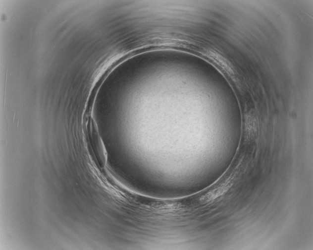 X0000060740891200511141130