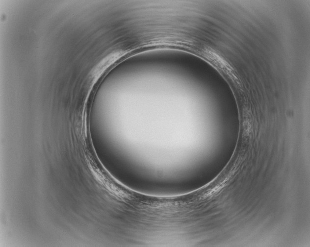 X0000060740892200511141130