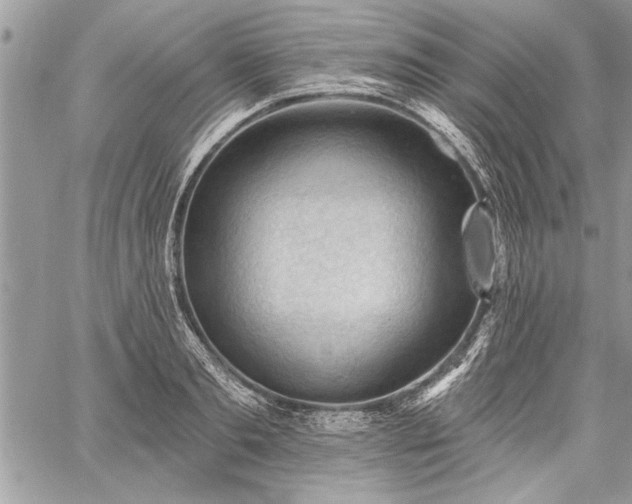 X0000060740893200511141130