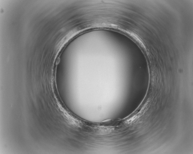 X0000060740895200511141130