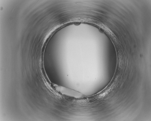 X0000060740896200511141130