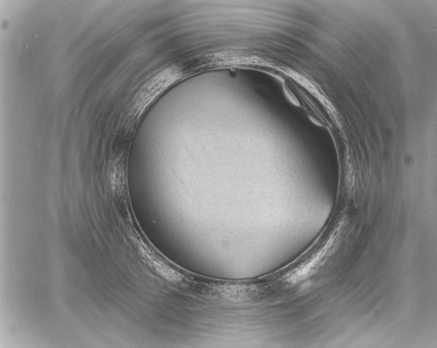 X0000060740897200511141130