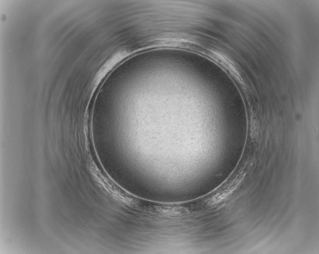 X0000060740899200511141130