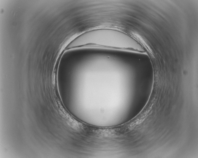 X0000060740900200511141130