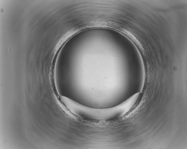 X0000060740901200511141130