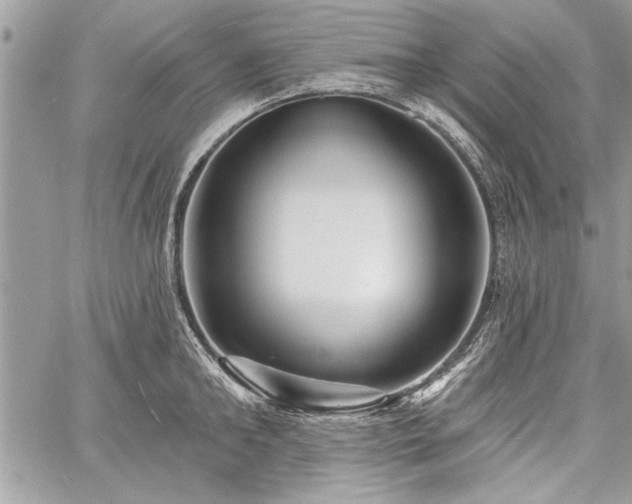 X0000060740902200511141130