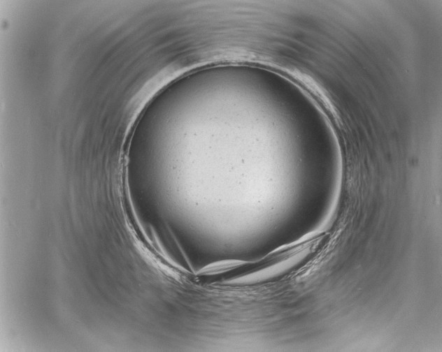 X0000060740903200511141130