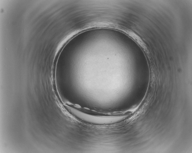 X0000060740904200511141130