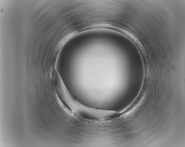 X0000060740905200511141130