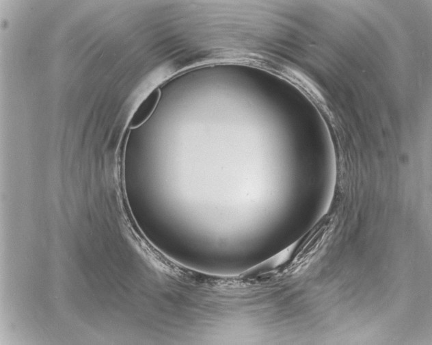 X0000060740907200511141130