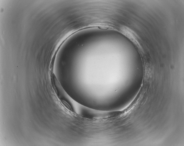 X0000060740908200511141130