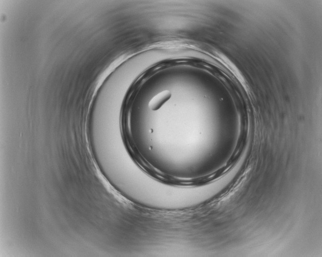 X0000060740909200511141130