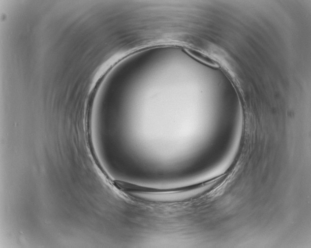 X0000060740910200511141130