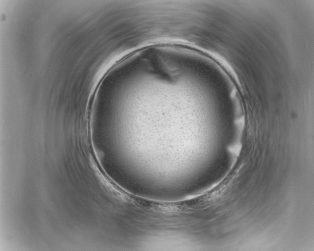 X0000060740911200511141130