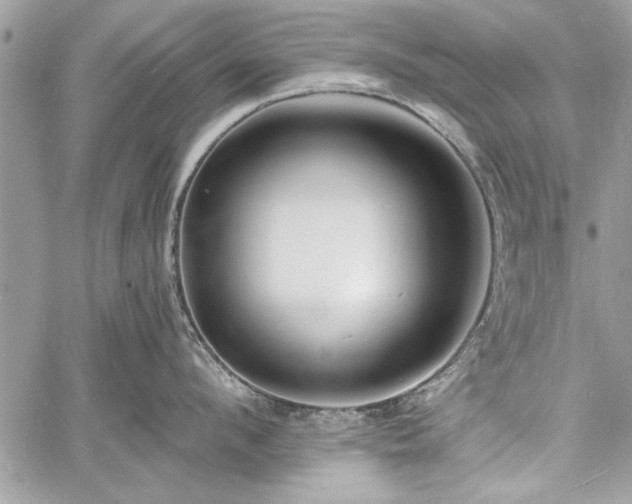 X0000060740912200511141130